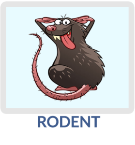 Additional Rodent Coverage